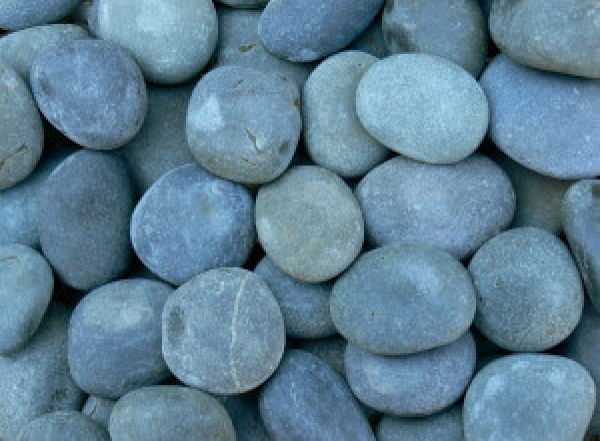 Commercial Landscape Services